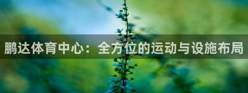 海南意昂体育4发展怎么样