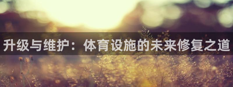 注册意昂4：升级与维护：体育设施的未来修复之道