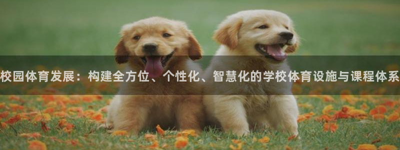 意昂4集团logo：校园体育发展：构建全方位、个性化