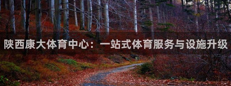 意昂体育4招商电话：陕西康大体育中心：一站式体育服务