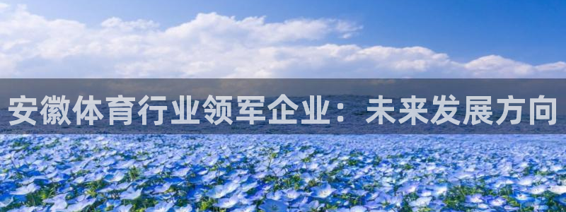 意昂体育4招商：安徽体育行业领军企业：未来发展方向