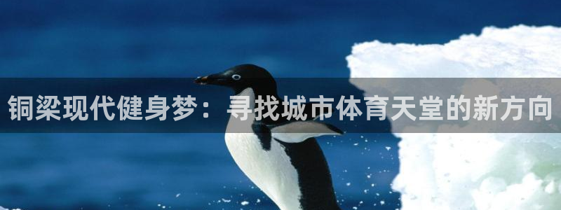 意昂4集团官网首页：铜梁现代健身梦：寻找城市体育天堂