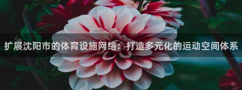 意昂体育4平台注册要钱吗：扩展沈阳市的体育设施网络：