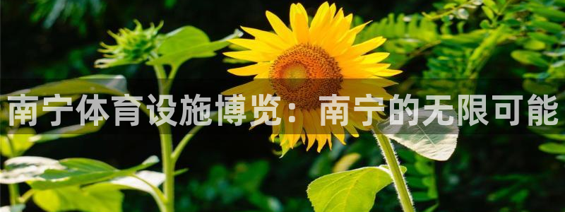 意昂体育4招商电话号码是多少：南宁体育设施博览：南宁的无限可