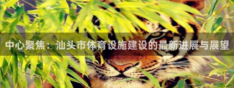 意昂体育4：中心聚焦：汕头市体育设施建设的最新进展与