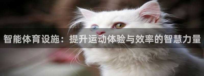 意昂集团官网：智能体育设施：提升运动体验与效率的智慧