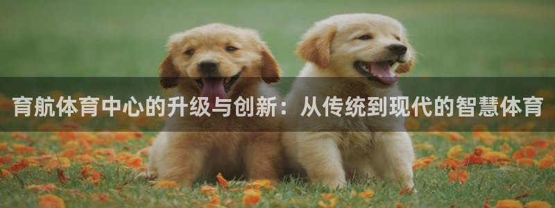 意昂体育4招商电话地址：育航体育中心的升级与创新：从