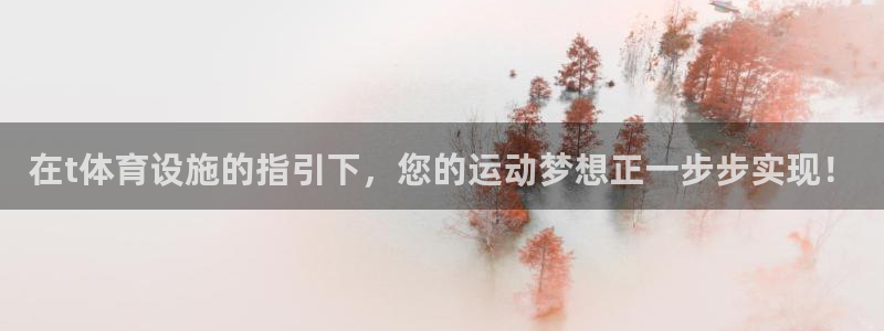 意昂体育4平台是正规平台吗知乎：在t体育设施的指引下，您的运