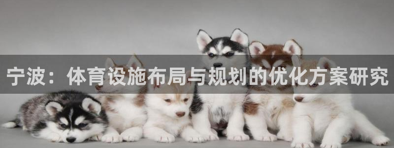 意昂4集团官网首页：宁波：体育设施布局与规划的优化方案研究 