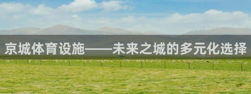 意昂4集团logo：京城体育设施——未来之城的多元化