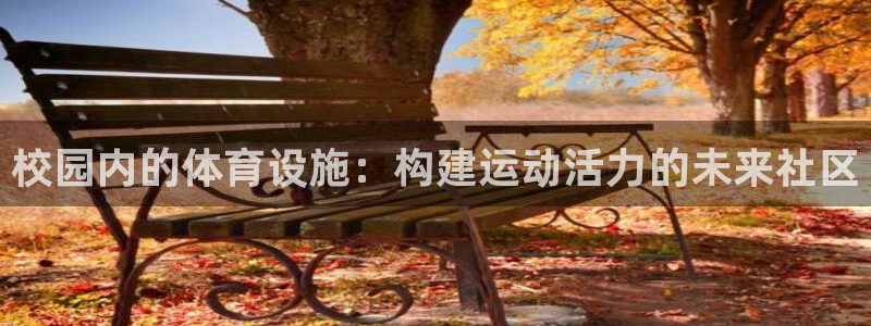 海南意昂体育4发展怎么样：校园内的体育设施：构建运动