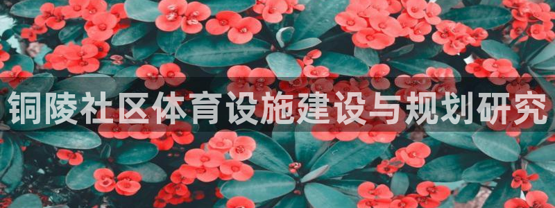 意昂4集团官网首页：铜陵社区体育设施建设与规划研究