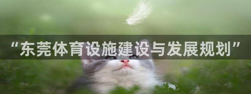 意昂体育4是干嘛的公司：“东莞体育设施建设与发展规划