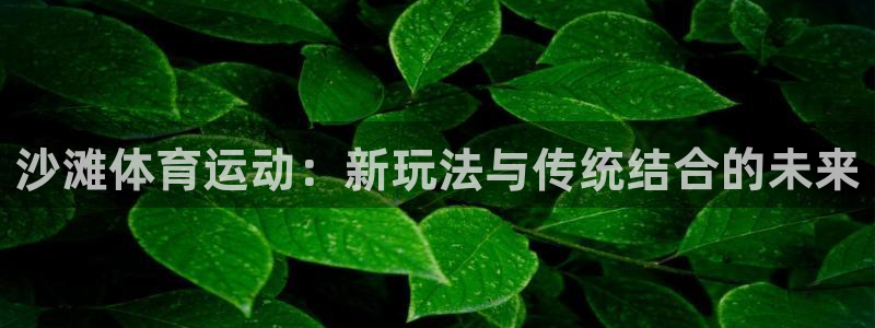 意昂体育4招商：沙滩体育运动：新玩法与传统结合的未来