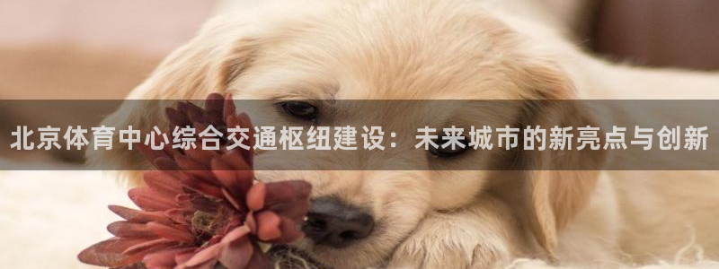 海南意昂体育4发展怎么样：北京体育中心综合交通枢纽建