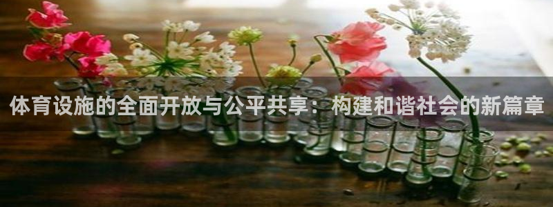 意昂体育4招商电话是多少号码：体育设施的全面开放与公