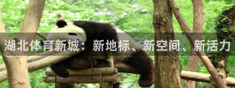 意昂体育4平台注册要钱吗是真的吗：湖北体育新城：新地
