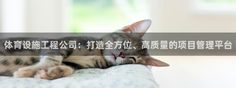 德国意昂4集团：体育设施工程公司：打造全方位、高质量
