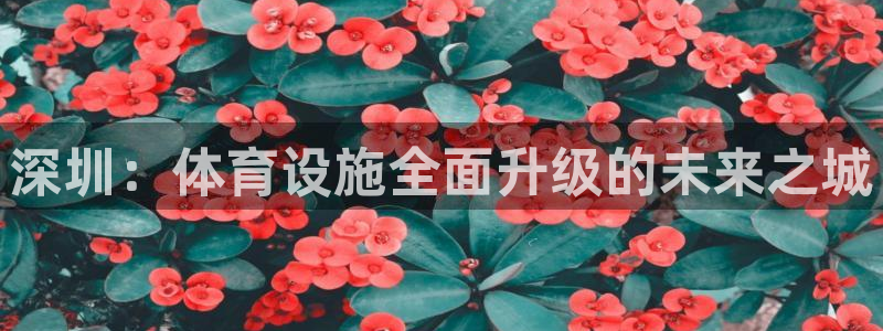 意昂体育4平台注册流程图：深圳：体育设施全面升级的未来之城
