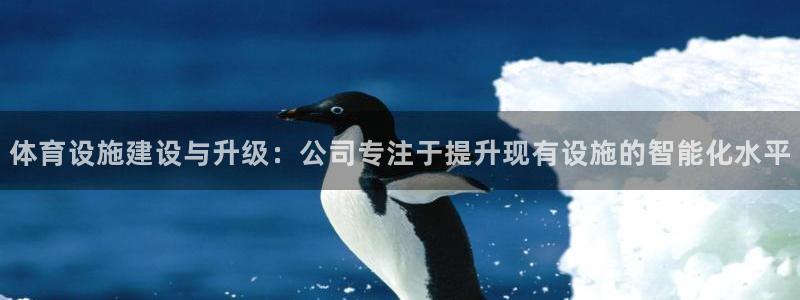 意昂体育4平台是正规平台吗：体育设施建设与升级：公司