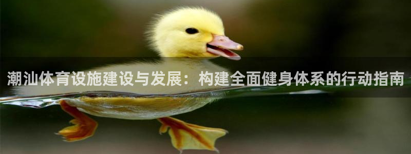 海南意昂体育4：潮汕体育设施建设与发展：构建全面健身体系的行