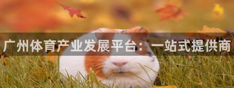 意昂集团官网：广州体育产业发展平台：一站式提供商