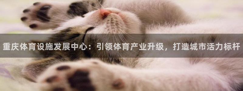 意昂体育4平台假的吗是真的吗吗：重庆体育设施发展中心：引领体