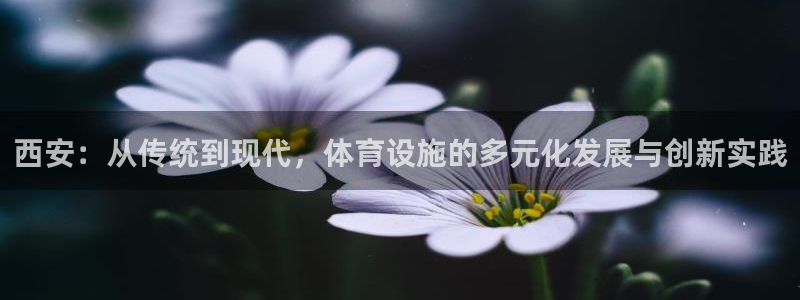 意昂体育4招商电话是多少啊：西安：从传统到现代，体育设施的多 