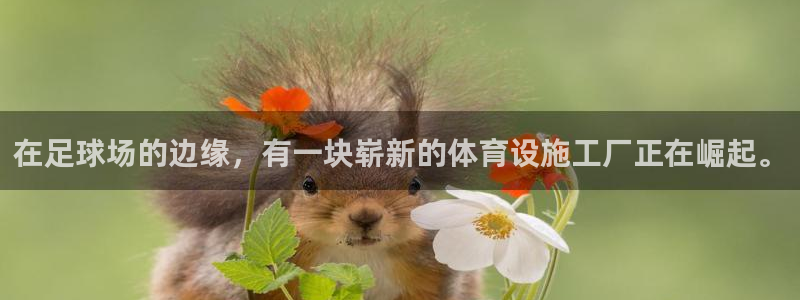 意昂4集团logo：在足球场的边缘，有一块崭新的体育设施工厂