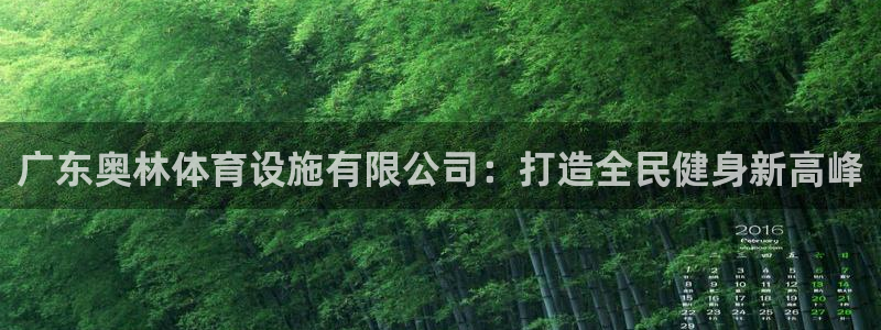 意昂4集团简介：广东奥林体育设施有限公司：打造全民健身新高峰