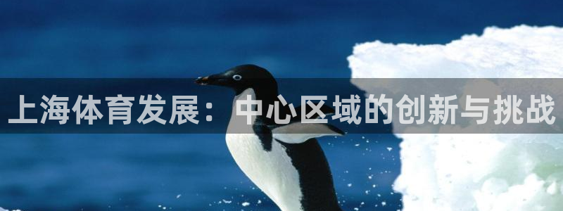 意昂体育4平台注册要钱吗：上海体育发展：中心区域的创