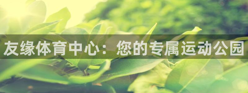 意昂4新能源：友缘体育中心：您的专属运动公园