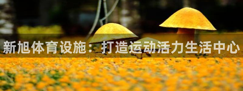 意昂4娱乐：新旭体育设施：打造运动活力生活中心