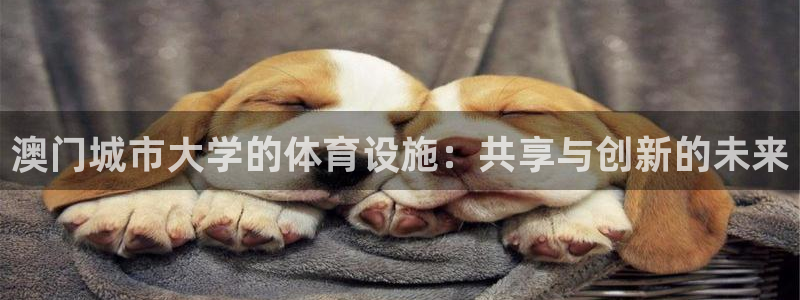 意昂体育4招商：澳门城市大学的体育设施：共享与创新的