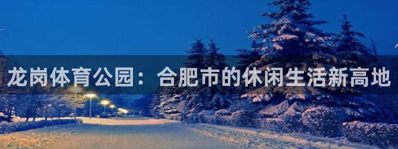 意昂体育4软件：龙岗体育公园：合肥市的休闲生活新高地