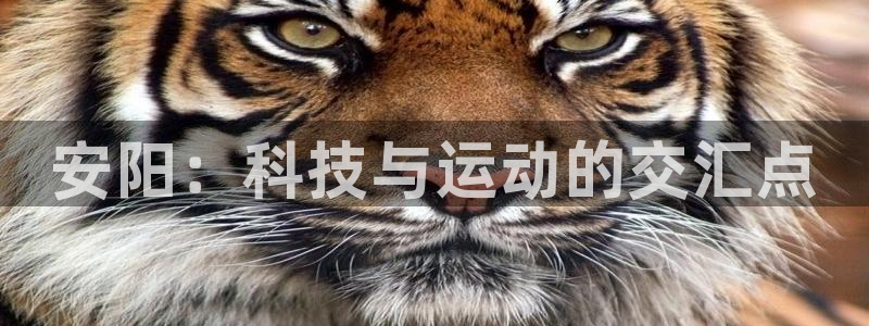 意昂4集团官网网址：安阳：科技与运动的交汇点