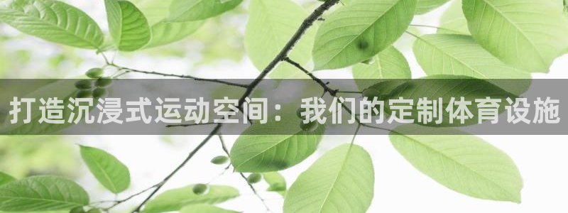 意昂4官网：打造沉浸式运动空间：我们的定制体育设施