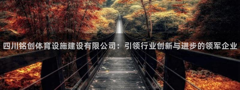 注册意昂4：四川铭创体育设施建设有限公司：引领行业创