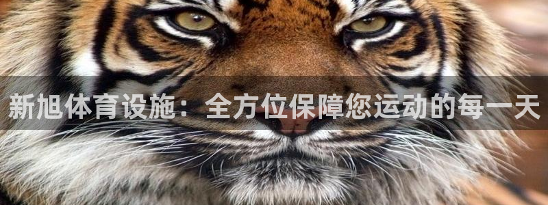 意昂体育4平台注册要钱吗是真的吗：新旭体育设施：全方