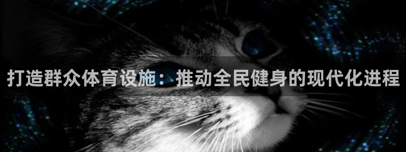 意昂4娱乐网站：打造群众体育设施：推动全民健身的现代化进程
