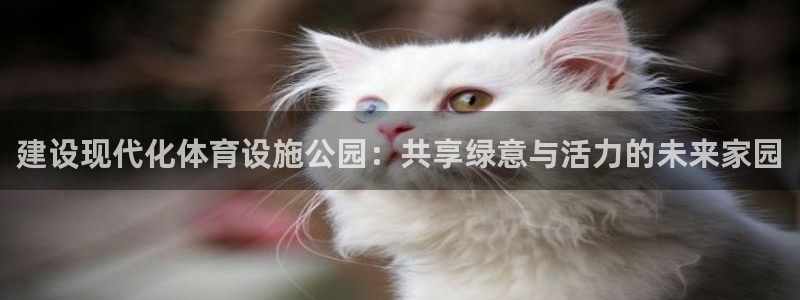 意昂体育4注册：建设现代化体育设施公园：共享绿意与活力的未来