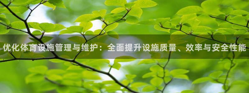 意昂4神州：优化体育设施管理与维护：全面提升设施质量
