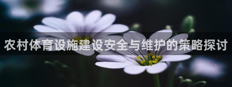 意昂体育4招商电话号码是多少啊：农村体育设施建设安全