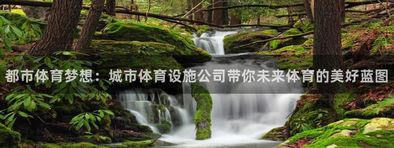 意昂体育4招商电话号码：都市体育梦想：城市体育设施公