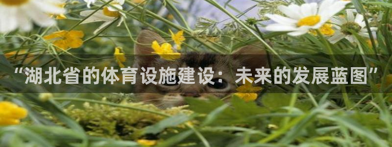 意昂体育4招商电话号码