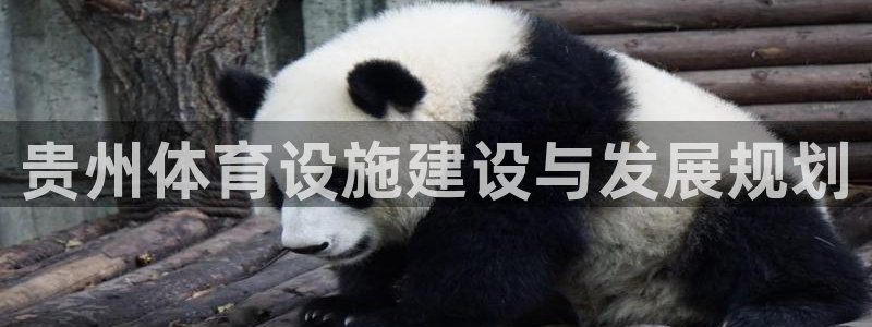 意昂体育4平台注册流程图：贵州体育设施建设与发展规划