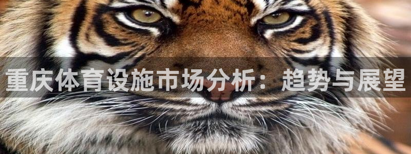 意昂体育4联系电话：重庆体育设施市场分析：趋势与展望