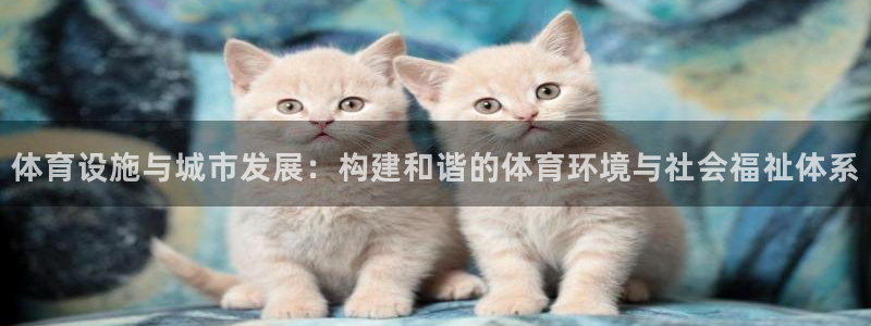 德国意昂4集团：体育设施与城市发展：构建和谐的体育环境与社会