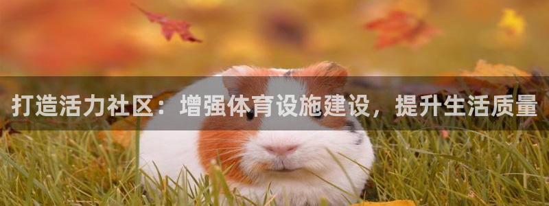 意昂体育4招商电话地址是多少：打造活力社区：增强体育