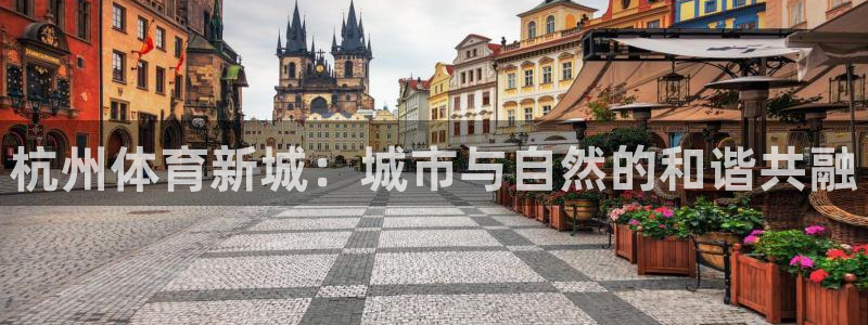意昂体育4平台假的吗是真的吗：杭州体育新城：城市与自